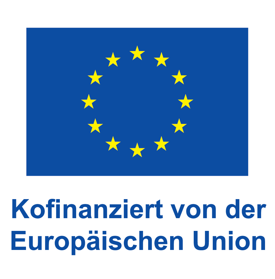 DE V Kofinanziert von der Europäischen Union_POS.png
